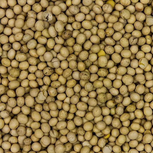 Fagioli di soia, Europa, biologici, 1 kg