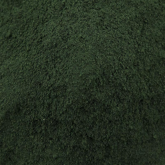 Gewürzgarten Spirulina platensis (alga blu-verde), macinata, 120 g